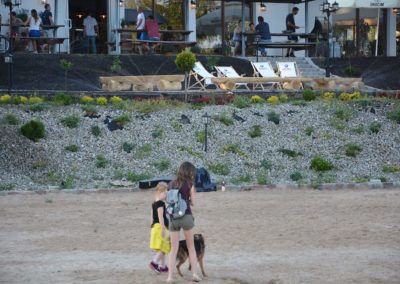 Port-Ryn-Bocianie-Gniazdo